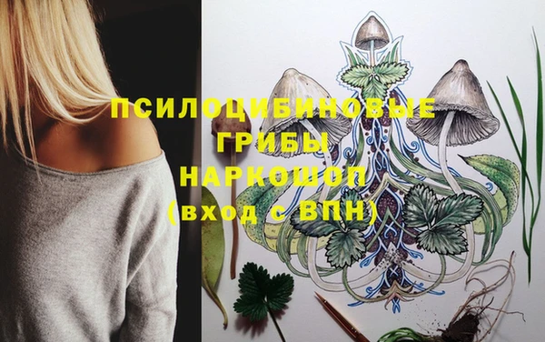 кристаллы Заводоуковск