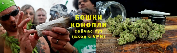 ГАЛЛЮЦИНОГЕННЫЕ ГРИБЫ Беломорск