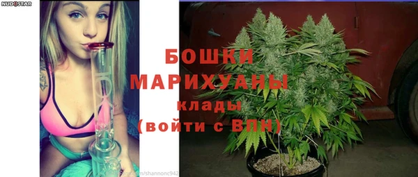 ПСИЛОЦИБИНОВЫЕ ГРИБЫ Заволжье