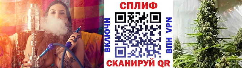 наркотики  Пионерский  Конопля SATIVA & INDICA 